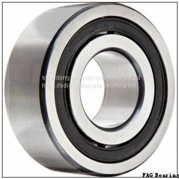 FAG Bearings