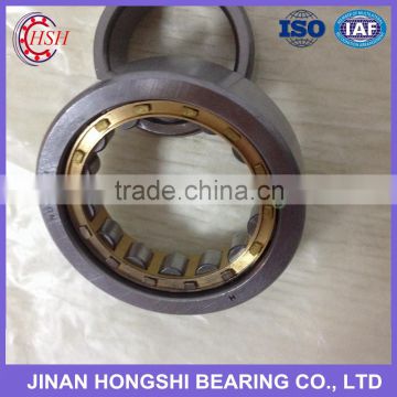 China Gold Supplier Eccentric Cylindrical Roller Bearings RN205 RN206 RN307 RN309