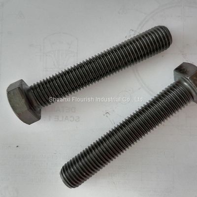 Black Oxide High Strength FT Hex Head Bolt Fastener Grade 8.8,10.9,12.9