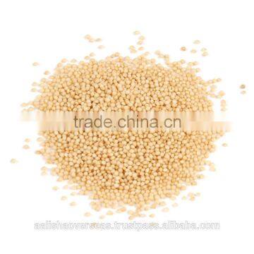 Amaranthus Seeds photo-6