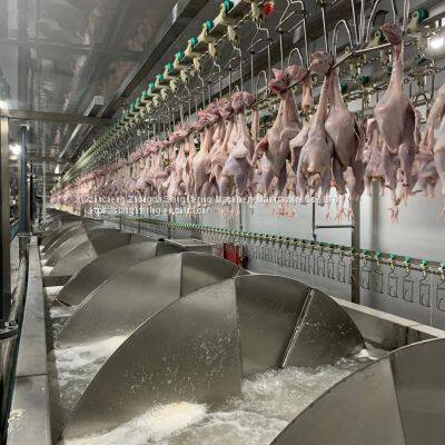 Good Price Chicken Slaughter Machine Line Abattoir Equipment photo-3