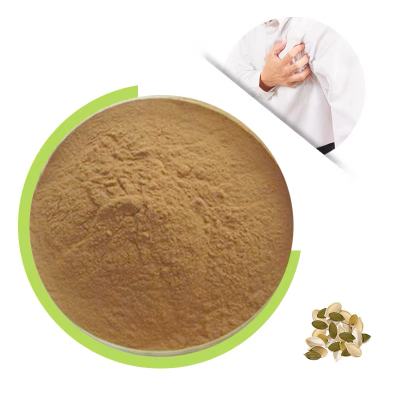 China Factory Direct supply Organic Pumpkin Seed Extract 40% Fatty Acid Water Soluble Raw Material Fiber-Rich for health Support