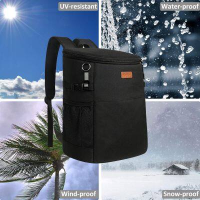 Polyester Cooler Bag Carry Cooler Bag photo-4