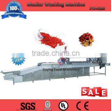 5T/H 304 Stainless Steel Vegetable Small Fruit Washing Machine For Medlar