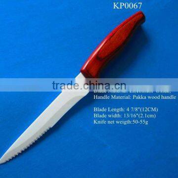 94.8% zirconium oxide fashion and popular ceramic steak knife set