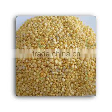 Lucao 6FZ-B Stainless Steel Moong Dal Peeling Machiney With Price photo-4