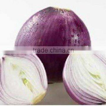 red onion