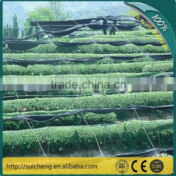 Guangzhou Greenhouse Anti-insect Net/ Plastic Mesh/ High Quality Anti-insect Net