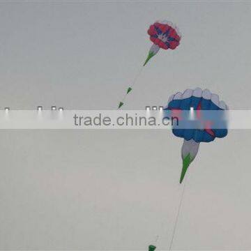 Morning glory kite