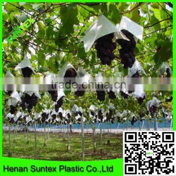 High quality plastic grape plant support net/plants protection net