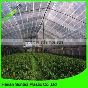 china manufacture offer green mesh netting for greenhouse agricultural used shade net