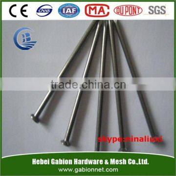 Factory! Common nails supplier