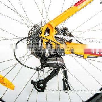 Mid Motor Electric Moutain Bike photo-6