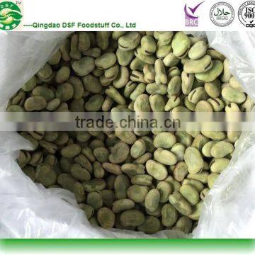 frozen broad beans price