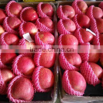 High Grade Qinguan Apples photo-4