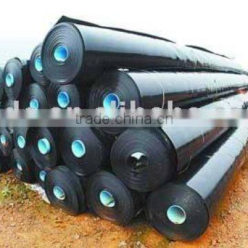 geomembrane