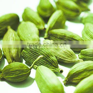 Cardamom photo-2