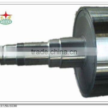 Stainless Steel Roller