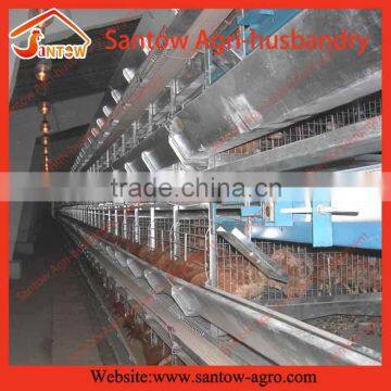 Stable Steel Structure Professional Chicken Egg Layer Cage Chicken Coop Plans for 12 Chickens photo-5
