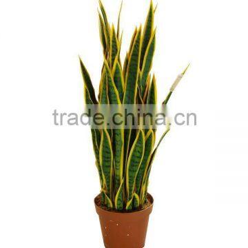 Artificial Cantury plant