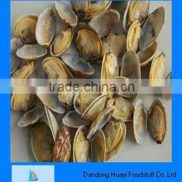 frozen short necked clam cooking frozen clam