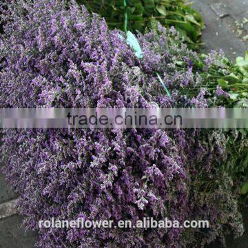 wholesale wedding decorative fresh cut limonium flowers from kunming