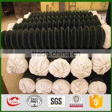 60*60mm pvc coated chain link pool fence