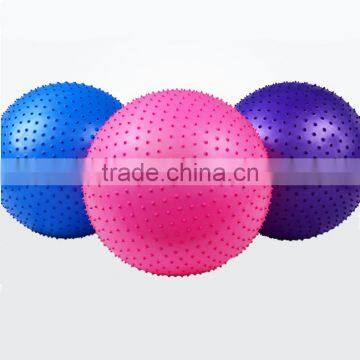 Plastic Exercise Gym Ball