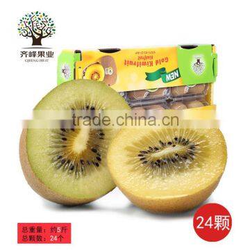 Fresh golden kiwi