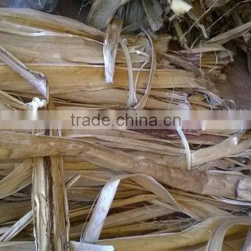 Banana tree barks _ QQ : 2598494113