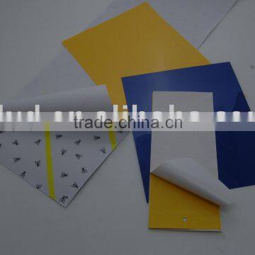 INSECT GLUE TRAP