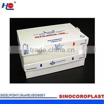 Corrugated Box with Food grade Plastic Packaging