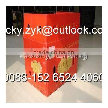 corrugated PP package box for orange packing carton