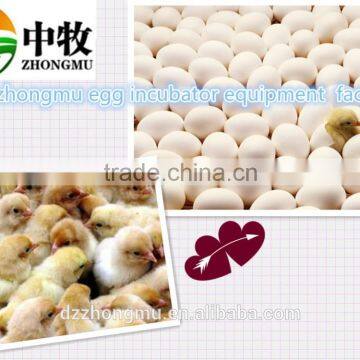 China Supplier China Importing 88 Eggs Setter Hatcher Incubator photo-5