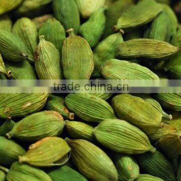Cardamom 8 MM photo-5
