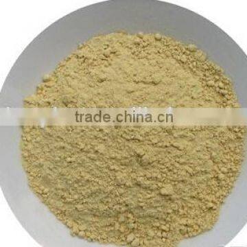 100% Ginger Extract Powder