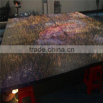 China Manufacturer Sky Led Light Optical Fiber Ceiling Lighting photo-2
