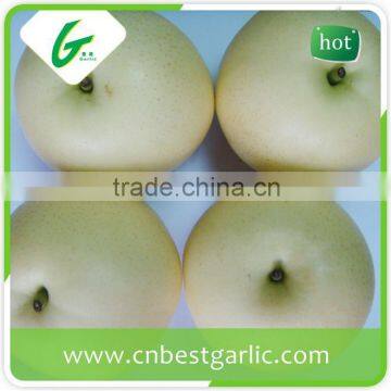 China bulk fresh crown pear for import