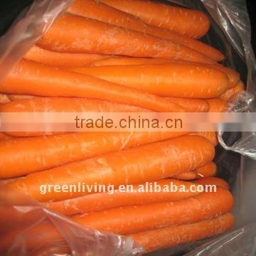 2014 fresh jumbo carrot