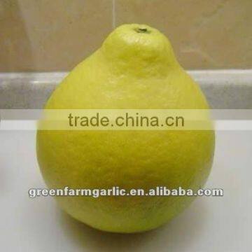 golden pomelo