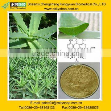 Aloe Extract /Aloe p.e./Aloe vera powder (CAS NO.: 1415-73-2) from GMP manufacturer