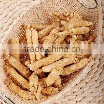 Sell Red Ginseng Root Extract Rh2