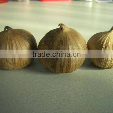 Hot Sell in Korean Popular Black Garlic photo-3