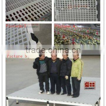 clean plastic material broiler slat floor /chicken flooring/chicken plasti slats