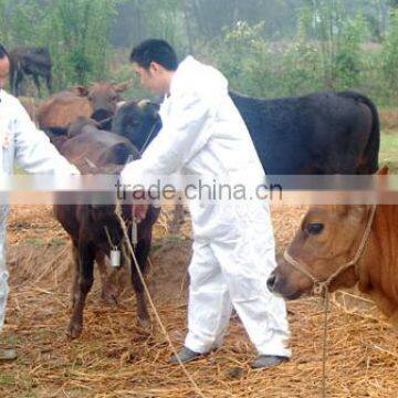 ear tag marking signal for cattle management