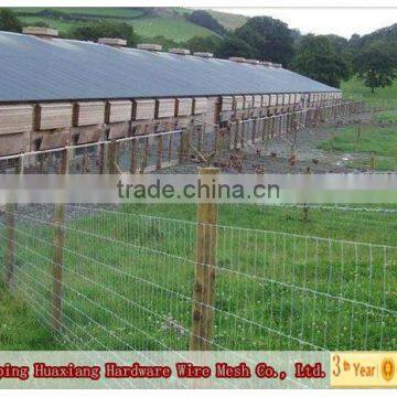 High Tensile Cattle Fence /Filed Fence (ISO 9001, 27 years factory)