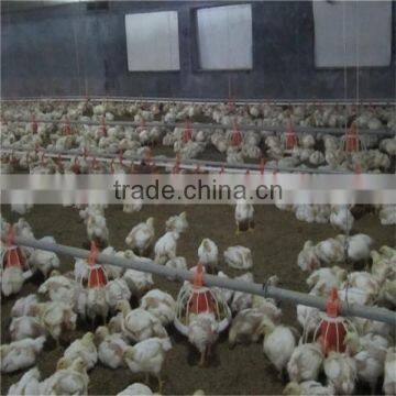 Automatic chicken farming equipment