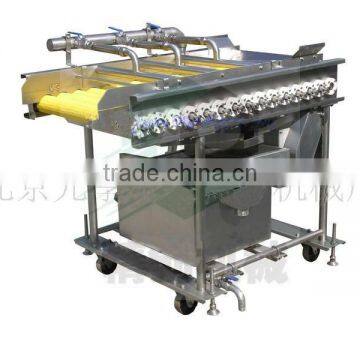 XZ-15B Fruit vegetable cleaning and go to miscellaneous machine