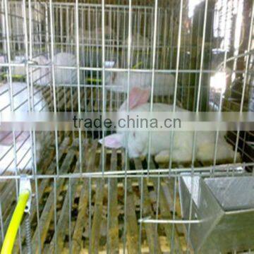 Steel Wire Rabbit Cage Factory Sale