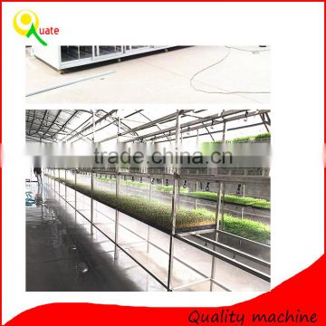 seedling bud sprouting system with seedling tray / automatic cattle green fodder growing machine